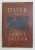 DUSK AND OTHER STORIES by JAMES SALTER , 1988