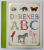 DYRENES ABC , 2013