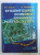 EFICIENTIZAREA ECONOMIEI ROMANESTI POSTSOCIALISTE - DE CE? SE POATE? CUM ? de N. G. NICULESCU si I. D. ADUMITRACESEI , 2000