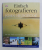 EINFACH FOTOGRAFIEREN von JOHN HEDGECOE , VON DER MOTIVAUSWAHL BIS ZUM PERFEKTEN BILD , 2005