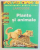 ENCICLOPEDIA PENTRU TINERI : PLANTE SI ANIMALE , 1998