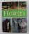 ENCYCLOPEDIA OF HORSES - ALL BREEDS IDENTIFIED , CLASSIFIED , AND PHOTOGRAPHED by DEBBY SLY , 2011