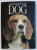 ENCYCLOPEDIA OF THE DOG , general editor RICHARD MARPLES , 1981