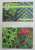 EUPHORBIAS by TIMOTHY WALKER , WISLEY HANDBOOKS , 2008
