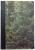 EXPLICAREA PSALMULUI 50 , STUDIU EXEGETICO-BIBLIC de DRAGOMIR DEMETRESCU , 1895