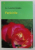 FERICIRILE de CLAUDIU DUMEA, 2003
