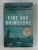 FIRE AND BRIMSTONE - THE NORTH BUTTE MINING DISASTER OF 1917 by MICHAEL PUNKE , 2016