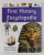 FIRST HISTORY ENCYCLOPEDIA - A FIRST REFERENCE BOOK FOR CHILDREN , 2019
