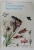 FISCHLEIN KLEIN , BUNT UND FEIN  ( PESTISORUL MIC , COLORAT SI FRUMOS )  von W. DAZKEWITSCH , TEXT IN LIMBA GERMANA , 1975
