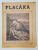 FLACARA  LITERARA , ARTISTICA , SOCIALA , REVISTA , ANUL I , NR. 23  ,  24 MARTIE   , 1912