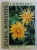 FLORA ROMANIEI , EDITIA A IV - A de ION SIMIONESCU , 1973 *EDITIE CARTONATA
