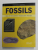 FOSSILS = 300 OF THE EARTH 'S FOSSILIZED SPECIES - POCKET GUIDE by CARL MEHLING , 2007