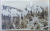 FOTOGRAF J. FISCHER , SIBIU , PARTI INTRE PIATRA CRAIULUI MARE SI MICA , CARTE POSTALA ILUSTRATA , 1942
