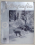 FOTOGRAFIA , REVISTA ASOCIATIEI '' FAR '' FOTO - CINE - AMATORILOR DIN ROMANIA , ANUL V  , No. 5 - 6 , 1939