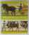 FRONTONS ET  POYAS , LES FRONTONS PEINT ..EN GRUYERE ...VEVEYSE par ALAIN GLAUSER , 1988