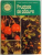 FRUCTELE DE PADURE , 1985