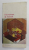 FUNCTIUNE SI FORMA , ANTOLOGIE de NICOLAE LASCU , 1989 , DEDICATIE *
