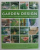 GARDEN DESIGN - HOW TO CREATE A CONTEMPORARY OUTDOOR LIVING SPACE by JOAN CLIFTON , 2007