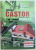 GHIDUL CASTOR , FA - TI CASA  SINGUR !  de ROMULUS CRISTEA , 2004