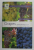 GRAPES - INDOORS AND OUT - STRUGURI IN INTERIOR SI AFARA  - by HARRY BAKER si RAY WAITE , ROYAL HORTICULTURAL SOCIETY , 2008