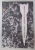 GRAVITY RAINBOW by THOMAS PYNCHON , 2006