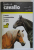 GUIDA AL CAVALLO ( GHIDUL CAILOR )  , LA STORIA , LE CARATTERISTICHE , LE RAZZE , GLI SPORT di MAURIZIO BONGIANNI , 1988, TEXT IN LIMBA ITALIANA