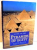 GUIDE TO THE PYRAMIDS OF EGYPT by ALBERTO SILIOTTI