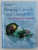 HEALING CRYSTALS AND GEMSTONES - FROM AMETHYST TO ZIRCON by FLORA PESCHEK - BOHMER and GISELA SCHREIBER , 2003