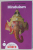 HINDUISM - A BEGINNER' S GUIDE by KLAUS K. KLOSTERMAIER , 2010