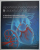 HIPERTENSIUNEA ARTERIALA si DIABETUL ZAHARAT : O AFECTIUNE VASCULARA DUBLA , de B. LEVY si C. SAVOIA , ANII '2000