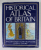 HISTORICAL ATLAS OF BRITAIN by MALCOM FALKUS and JOHN GILLINGHAM , 1981