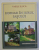 HOINAR IN JURUL IASULUI de VASILE ILUCA , EDITIE IN ROMANA - FRANCEZA - ENGLEZA , 2001