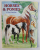 HORSES and PONIES AT YOUR FINGERTIPS , written by MARC GAVE , illustrated by K.L. TAFOYA , 1996