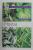 HOSTAS - CRIN DE TOAMNA - by DIANA GRENFELL , ROYAL HORTICULTURAL SOCIETY , 2008