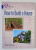 HOW TO BUILD A HOUSE by ISABEL THOMAS , 2016
