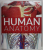 HUMAN ANATOMY , THE DEFINITIVE VISUAL GUIDE by ALICE ROBERTS , 2016