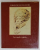 I DISEGNI DEI MAESTRI , LA SCUOLA VENETA di TERESIO PIGNATTI , TEXT IN LIMBA ITALIANA , ALBUM , 1970