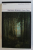 INNER VOICES  - SELECTED POEMS 1963 - 2003 by RICHARD HOWARD , 2007