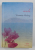 INSULA de VICTORIA HISLOP , 2008