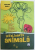 INTELIGENTA ANIMALA  - UIMITOARE DOVEZI DE EMOTII SI GANDURI LA DIFERITE SPECII DE ANIMALE de VIRGINIA MORELL , 2013