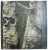 IOAN ANDREESCU  - 1850 - 1882 ,  ANII DE CREATIE IN TARA ,  catalog de RADU BOGDAN , 1983 , PREZINTA HALOURI DE APA
