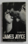 JAMES JOYCE - A CRITICAL INTRODUCTION  by HARRY LEVIN , 1960