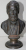 JANOS ARANY , BUST BRONZ