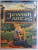 JEWISH ART , GRACE COHEN GROSSMAN 1995