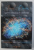 JOCUL DIVIN - SANSA OMULUI IN UNIVERS de ALEXANDRU MUSAT ...VALENTIN NEDELEA , 2015