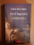 JOCUL INGERULUI de CARLOS RUIZ ZAFON , 2009