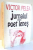 JURNALUL UNUI POET LENES de VICTOR FELEA , 2000