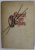 KAMPF UM AFRIKA ( RAZBOIUL PENTRU AFRICA ) von ARTHUR BERGER , TEXT IN GERMANA CU CARACTERE GOTICE , 1938