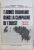 L ' ARMEE ROUMAINE DANS LA CAMPAGNE DE L ' OUEST , 1944 - 1945 par GHEORGHE ROMANESCU ...ALESANDRU DUTU , 1991