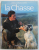 LA CHASSE  - ENCYCLOPEDIE ACTIVE  par PAUL HAVET , 1994